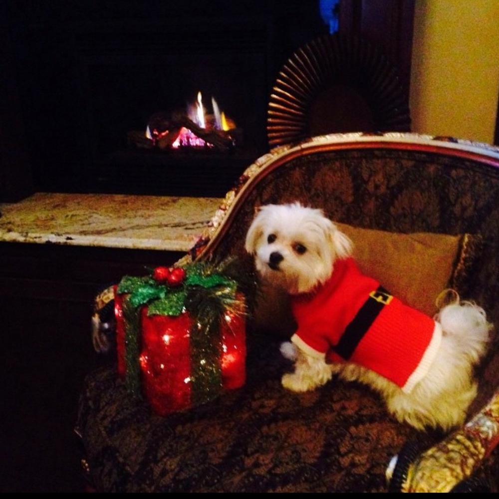 Santa sweater worn to model